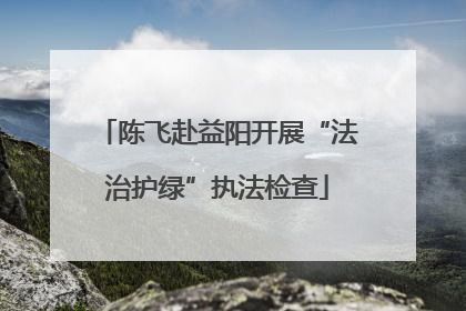 陈飞赴益阳开展“法治护绿”执法检查