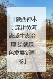 陕西神木：深耕黄河流域生态治理 绘就绿色发展新画卷