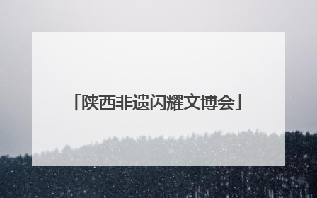 陕西非遗闪耀文博会