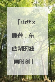 雨丝×睡莲，东西湖的油画时刻