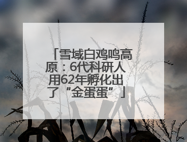 雪域白鸡鸣高原：6代科研人用62年孵化出了“金蛋蛋”