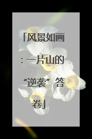 风景如画：一片山的“逆袭”答卷