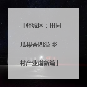 驿城区：田园瓜果香四溢 乡村产业谱新篇