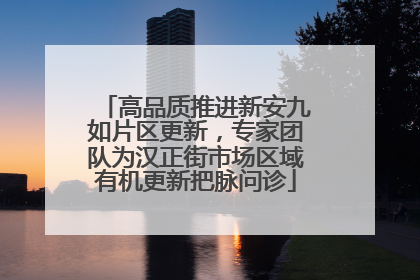 高品质推进新安九如片区更新，专家团队为汉正街市场区域有机更新把脉问诊