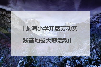 龙海小学开展劳动实践基地拔大蒜活动