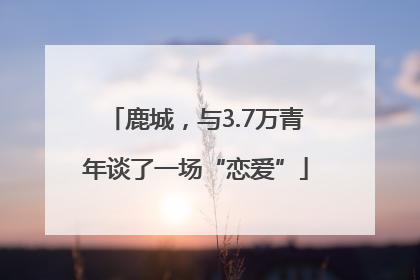 鹿城，与3.7万青年谈了一场“恋爱”