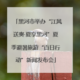 黑河市举办“江风送爽·夏享黑河”夏季避暑旅游“百日行动”新闻发布会
