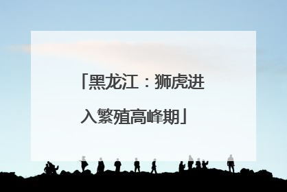 黑龙江：狮虎进入繁殖高峰期