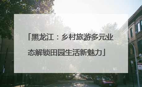 黑龙江：乡村旅游多元业态解锁田园生活新魅力