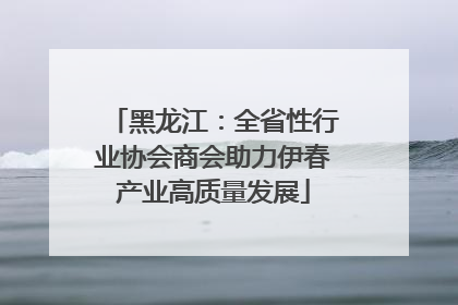 黑龙江：全省性行业协会商会助力伊春产业高质量发展