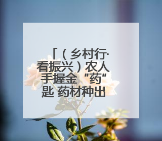 （乡村行·看振兴）农人手握金“药”匙 药材种出好“钱”景