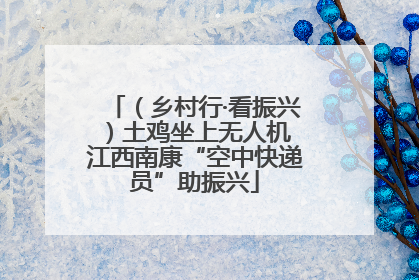 （乡村行·看振兴）土鸡坐上无人机 江西南康“空中快递员”助振兴