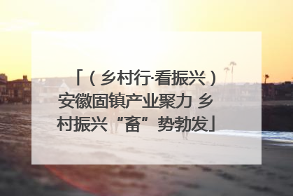（乡村行·看振兴）安徽固镇产业聚力 乡村振兴“畜”势勃发