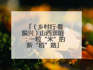 （乡村行·看振兴）山西襄垣：一粒“米”的新“稻”路