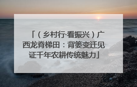 （乡村行·看振兴）广西龙脊梯田：背篓变迁见证千年农耕传统魅力