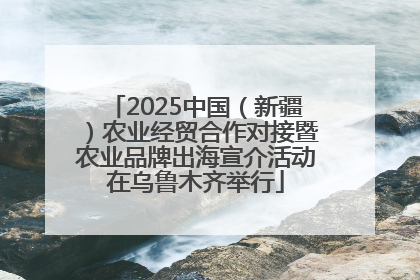 2025中国（新疆）农业经贸合作对接暨农业品牌出海宣介活动在乌鲁木齐举行