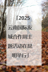 2025云南国际友城合作周主题活动在昆明举行