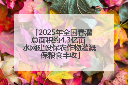 2025年全国春灌总面积约4.3亿亩 水网建设保农作物灌溉 保粮食丰收