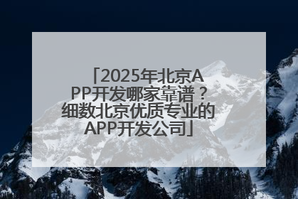 2025年北京APP开发哪家靠谱？细数北京优质专业的APP开发公司