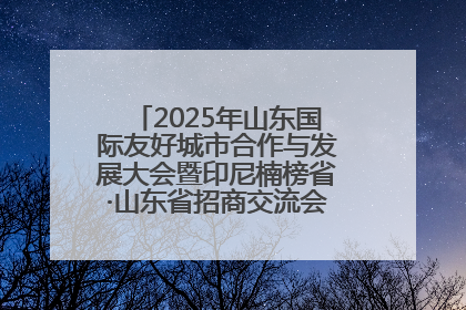 2025年山东国际友好城市合作与发展大会暨印尼楠榜省·山东省招商交流会在济南槐荫举行