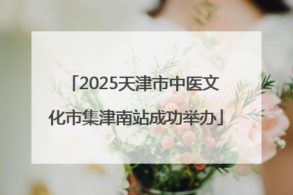2025天津市中医文化市集津南站成功举办