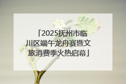 2025抚州市临川区端午龙舟赛暨文旅消费季火热启幕