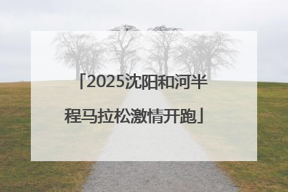 2025沈阳和河半程马拉松激情开跑