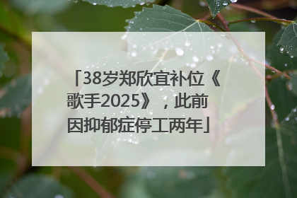 38岁郑欣宜补位《歌手2025》，此前因抑郁症停工两年