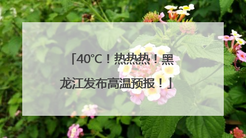 40℃！热热热！黑龙江发布高温预报！