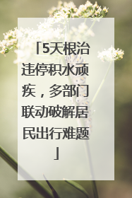 5天根治违停积水顽疾，多部门联动破解居民出行难题