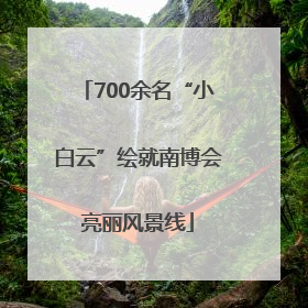 700余名“小白云”绘就南博会亮丽风景线