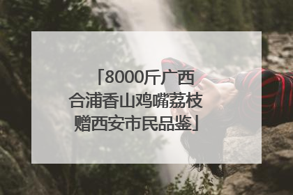 8000斤广西合浦香山鸡嘴荔枝赠西安市民品鉴