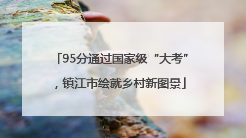 95分通过国家级“大考”，镇江市绘就乡村新图景