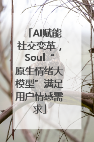 AI赋能社交变革，Soul“原生情绪大模型”满足用户情感需求