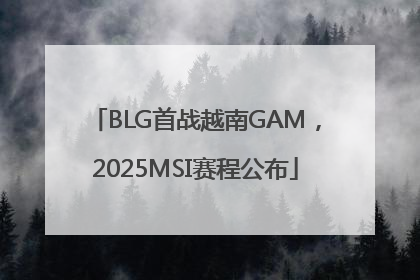 BLG首战越南GAM，2025MSI赛程公布