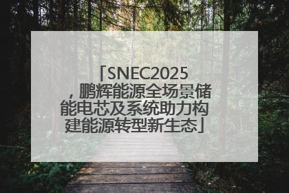 SNEC2025，鹏辉能源全场景储能电芯及系统助力构建能源转型新生态