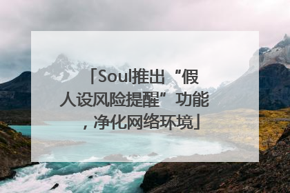 Soul推出“假人设风险提醒”功能，净化网络环境
